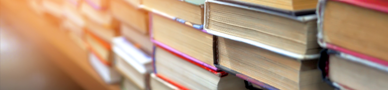 Boekenmarkt Bibliocenter tijdens Cultureel Lint Weert